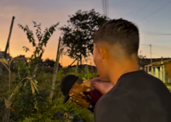 T0305042 Todos têm seu valor – uma história que vai tocar seu coração PART 2