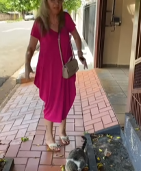 T0101006 Mulher pede para molhar ração de cachorro para comer part2