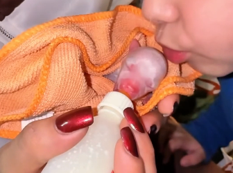 C3005003_She Found A Tiny Newborn Puppy And Then  (Part 2)
