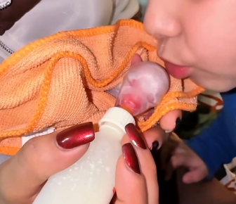 C3005003_She Found A Tiny Newborn Puppy And Then  (Part 2)
