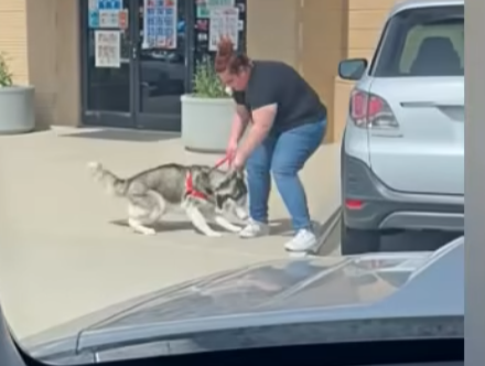 E2405012_She Gave a Husky to Her Kid Like a Toy… (Part 2)