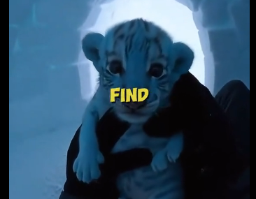E1606001_�� baby tiger was trembling in my arms… (Part 2)