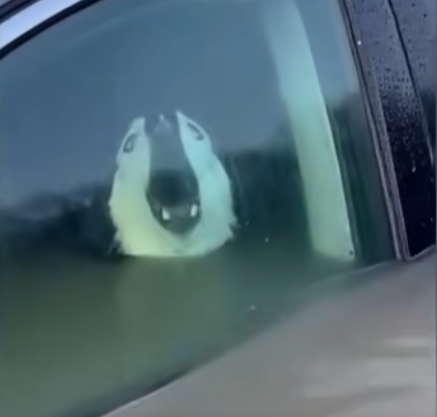 E2205012_She Only Cared About Her Car… -Emergency rescue �_ (Part 2)