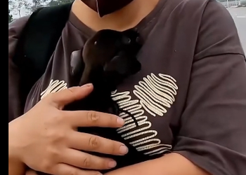 Rescue a puppy on the road (Part 2)