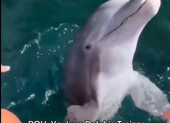 Animals Love Their Keepers (Part 2)