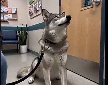 He Wouldnt Leave Her Side. Until He Looked At Me. (Part 2)
