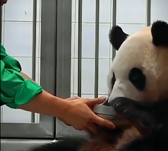 A touching story of pure love.  (Part 2)