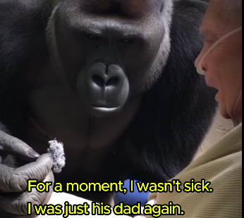 Everyone Thought The Gorilla Would Attack This Paralyzed Man. (Part 2)